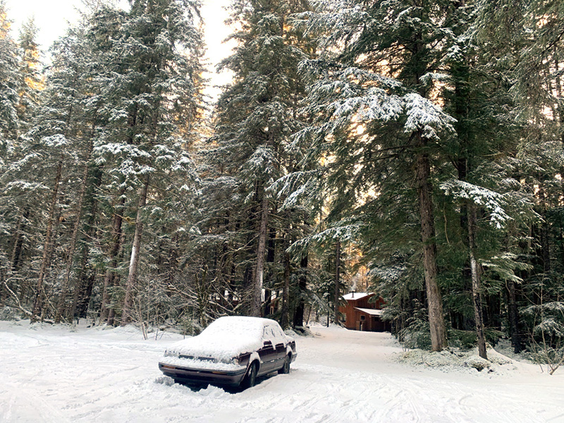 The woods of our cabin in Alaska. The woods of our cabin in Alaska, the cabin in the background. Most of my Alaska photos are in the winter, my favorite season.